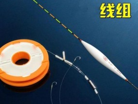 钓鱼技巧（掌握钓鱼技巧，提升双钩浮漂的效果）