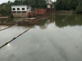 乌龙坝水库钓鱼技巧（乌龙坝水库钓鱼技巧详解）