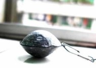 春天海杆钓鱼技巧有哪些？如何提高春季海钓成功率？