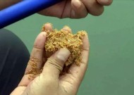 以鸡蛋清做鱼饵的方法和技巧（钓鱼利器）