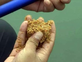 以鸡蛋清做鱼饵的方法和技巧（钓鱼利器）