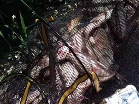 如何用钓鱼技巧轻松开启啤酒瓶盖？常见问题有哪些？