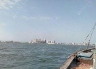 海口梭鱼钓鱼技巧有哪些？如何提高钓梭鱼的成功率？