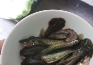 河坝钓鱼技巧教程？如何提高河坝钓鱼的成功率？