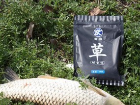 钓鱼技巧野钓实战宝典？如何提升野钓成功率？