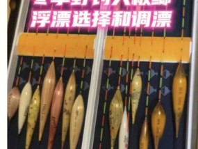钓鲫鱼浮漂的技巧与方法（掌握浮漂技巧，提高钓鲫鱼成功率）