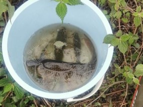 水库谷麦钓鱼技巧教程（学会钓鱼技巧）
