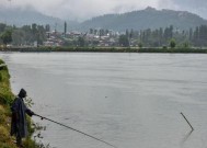 池塘钓鱼技巧大全（掌握天气变化）