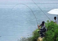 寒露后野河钓鱼技巧有哪些？如何应对季节变化提高钓鱼成功率？