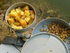如何提升钓鱼技巧？最佳饵料配方是什么？