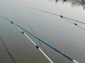 白河上游河道钓鱼技巧？如何提高钓鱼成功率？