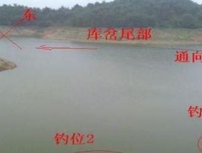 桥墩野钓鱼技巧（掌握关键点）