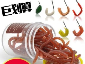 野外红虫钓鱼技巧教程（掌握钓鱼技巧）