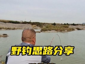 五月南方钓鱼技巧（南方五月钓鱼有妙招）
