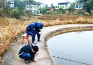 冬天钓鱼技巧如何选钓位？哪些因素决定最佳钓位选择？