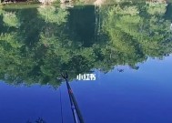 海上钓鱼技巧讲解？如何提高钓鱼成功率？