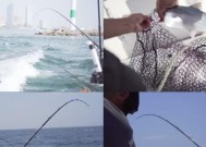海钓场钓鱼技巧（探秘海钓场的钓鱼技巧大全）