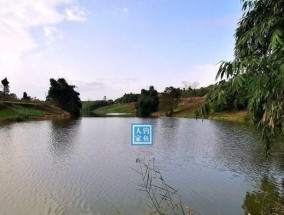 夏末野河钓鱼技巧（享受夏末时光的钓鱼乐趣）