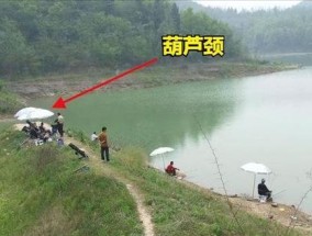 洪水退水后的钓鱼技巧（充分利用洪水退水时机）
