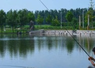 钓鱼宾果玩法技巧（轻松掌握，畅享捕鱼乐趣）