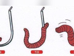 钓鱼新手必知的水坝海竿技巧（掌握钓鱼技巧）