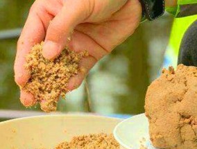 钓鱼不打窝技巧教学？如何提高钓鱼成功率？