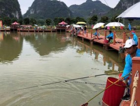 黑坑泥塘钓鱼技巧（掌握关键技巧）