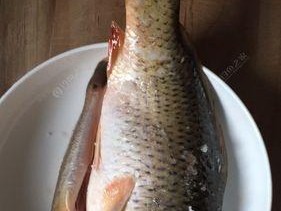 涨潮钓鱼饵料技巧（掌握关键点提升钓鱼效果）