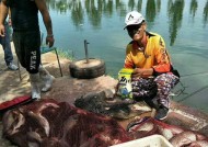 冬天钓鱼水下打窝技巧是什么？如何有效提高钓鱼成功率？