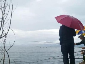 桥下走廊钓鱼技巧（捕捉大鱼的秘诀）