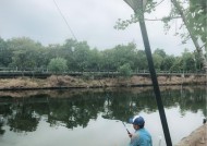 河边钓鱼有哪些好方法和技巧？如何提高钓鱼成功率？