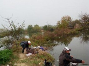 师傅传授钓鱼技巧，成为捕鱼高手（掌握精湛技艺）