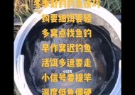 冬季砸冰钓鱼技巧有哪些？如何安全高效地进行？
