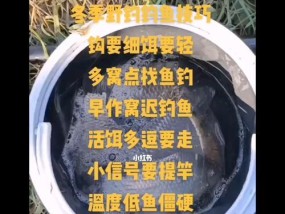 冬季砸冰钓鱼技巧有哪些？如何安全高效地进行？
