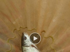 掌握小坑钓鱼技巧的终极指南（简单易学）