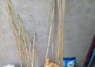 芦苇根钓鱼技巧（探索芦苇根钓鱼的新境界）