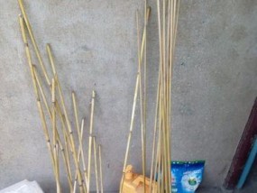 芦苇根钓鱼技巧（探索芦苇根钓鱼的新境界）