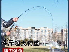 小滑竿钓鱼技巧大揭秘（掌握小滑竿钓鱼技巧）
