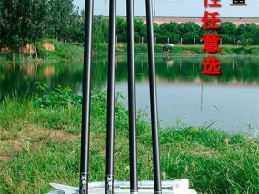 如何掌握钓鱼长竿野钓技巧？常见问题有哪些？