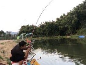 罗伞岭水库钓鱼技巧（细致入微增加收获）