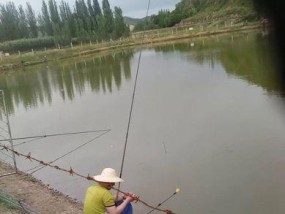 探寻钓鱼之道（几十年的经验与技巧分享）