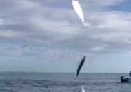 海里沉底钓鱼技巧和方法有哪些？如何提高钓获率？