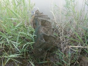 带笼子钓鱼技巧有哪些？如何提高钓鱼成功率？