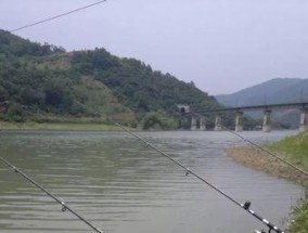 冬天大棚钓鱼的技巧（利用大棚保温）