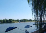 冬天池塘晚上钓鱼技巧是什么？如何提高夜间钓鱼成功率？
