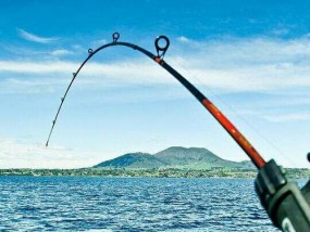 钓鱼技巧（提升钓鱼成功率的关键要素）