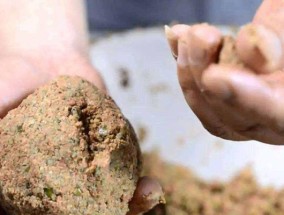 钓鱼黑坑开饵技巧（掌握关键步骤，成功提升钓鱼效果）