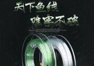 冬天晃竿钓鱼技巧和方法是什么？如何提高冬季钓鱼成功率？