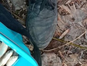钓鱼挂底处理技巧（掌握钓鱼挂底的窍门，提高钓鱼成功率）