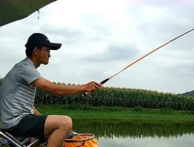 长水河水库钓鱼技巧大揭秘（技巧、工具、鱼种、心得）